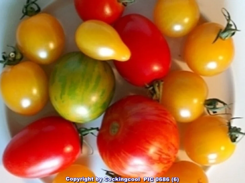 Rezept: Tomatensalat schnell zubereitet und im Geschmack sehr erfrischend Bild Nr. 6116 Tomatensalat schnell zubereitet und im Geschmack sehr erfrischend - Rezept - Bild Nr. 6116