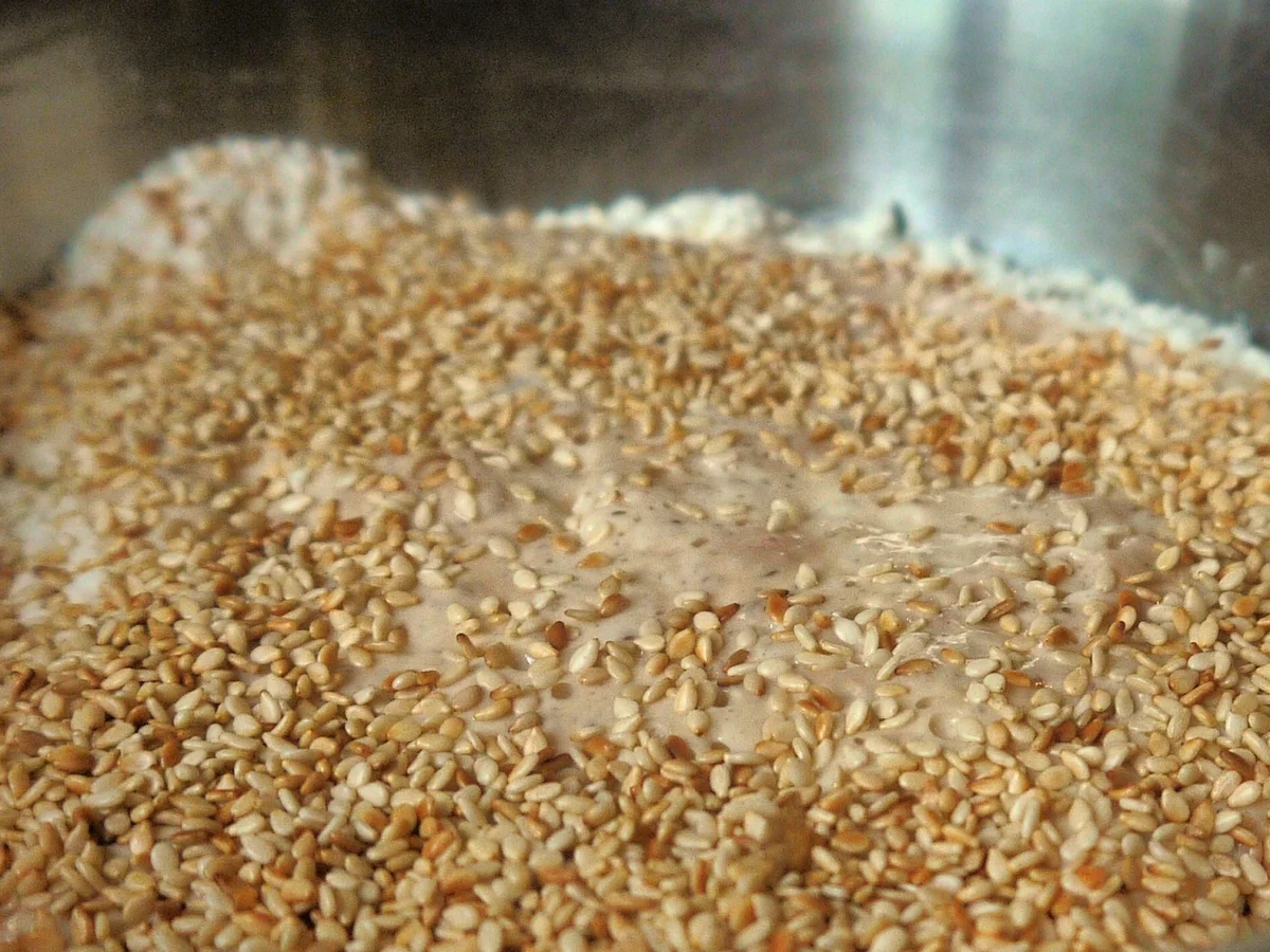 Rezept: Sesam-Dinkel-Baguette Bild Nr. 5 Sesam-Dinkel-Baguette - Rezept - Bild Nr. 5