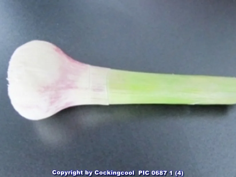 Zaziki 2.0 - Rezept - Bild Nr. 6111