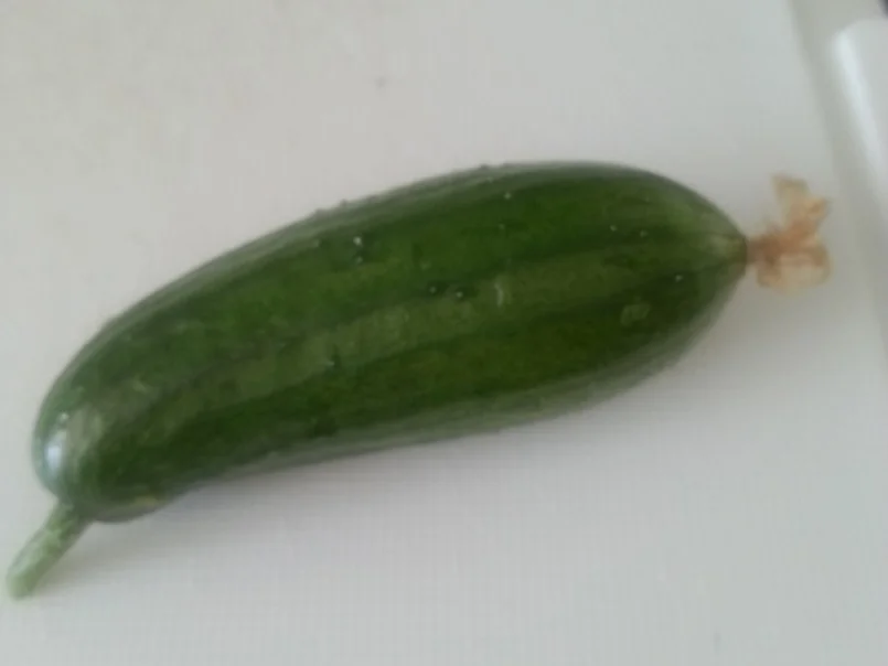 Zaziki 2.0 - Rezept - Bild Nr. 6120