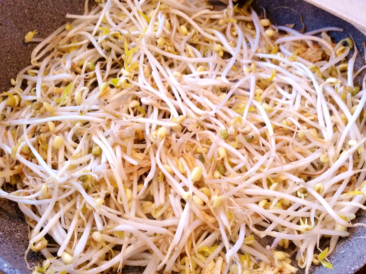 Rezept: Blattspinat mit frischen Mungbohnensprossen Bild Nr. 6122 Blattspinat mit frischen Mungbohnensprossen - Rezept - Bild Nr. 6122