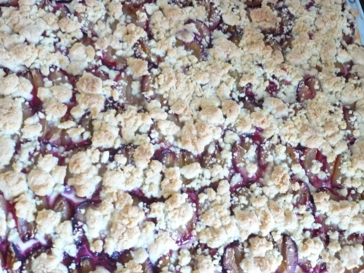 Zwetschen - Streusel - Kuchen - Rezept - Bild Nr. 6119