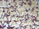 Zwetschen - Streusel - Kuchen - Rezept - Bild Nr. 6119