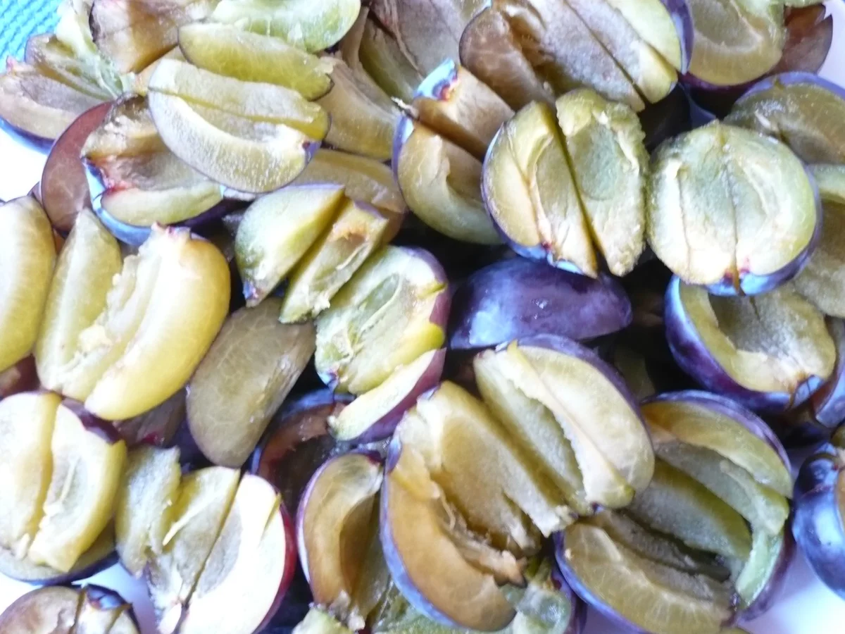 Zwetschen - Streusel - Kuchen - Rezept - Bild Nr. 6120