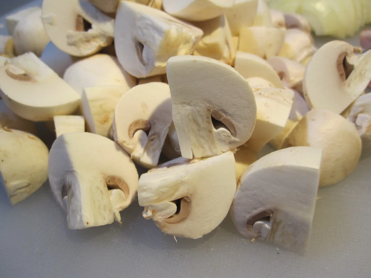 Putenragout mit Penne Rigate - Rezept - Bild Nr. 6123