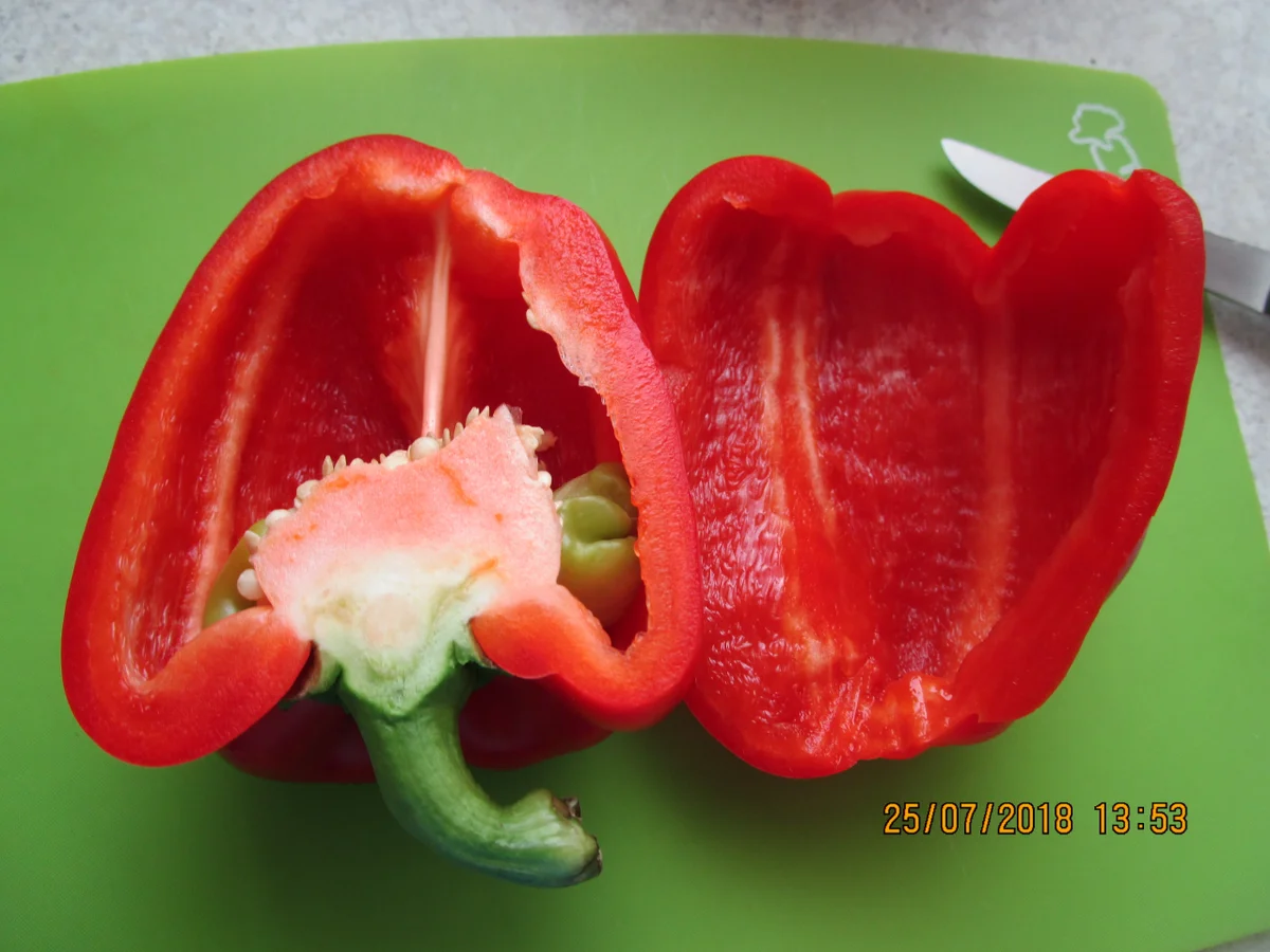 Tomaten-Möhren-Ingwer-Süppchen - Rezept - Bild Nr. 6152