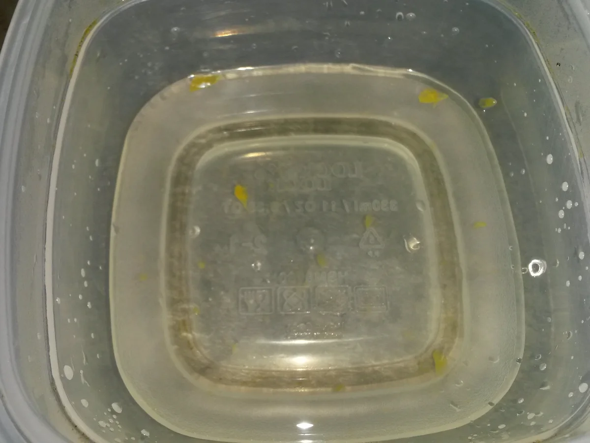 Rezept: Sommertorte aus Erfrischungsstäbchen Bild Nr. 6161 Sommertorte aus Erfrischungsstäbchen - Rezept - Bild Nr. 6161