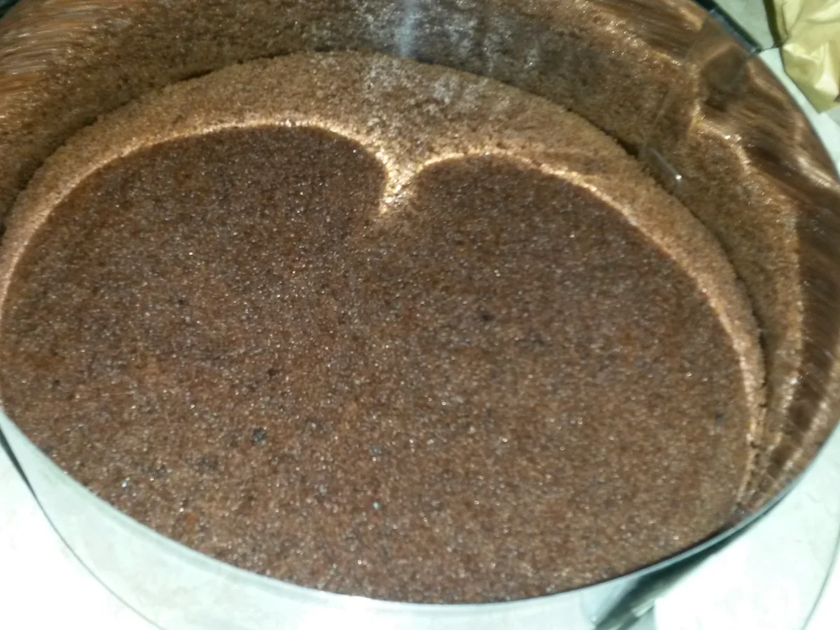 Rezept: Sommertorte aus Erfrischungsstäbchen Bild Nr. 6164 Sommertorte aus Erfrischungsstäbchen - Rezept - Bild Nr. 6164