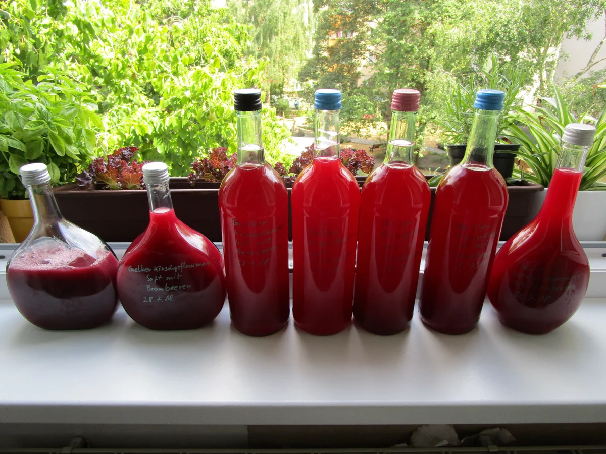 Kirschpflaumensaft mit Brombeeren - Rezept - Bild Nr. 6163