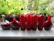 Kirschpflaumensaft mit Brombeeren - Rezept - Bild Nr. 6163