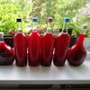 Kirschpflaumensaft mit Brombeeren - Rezept - Bild Nr. 6163