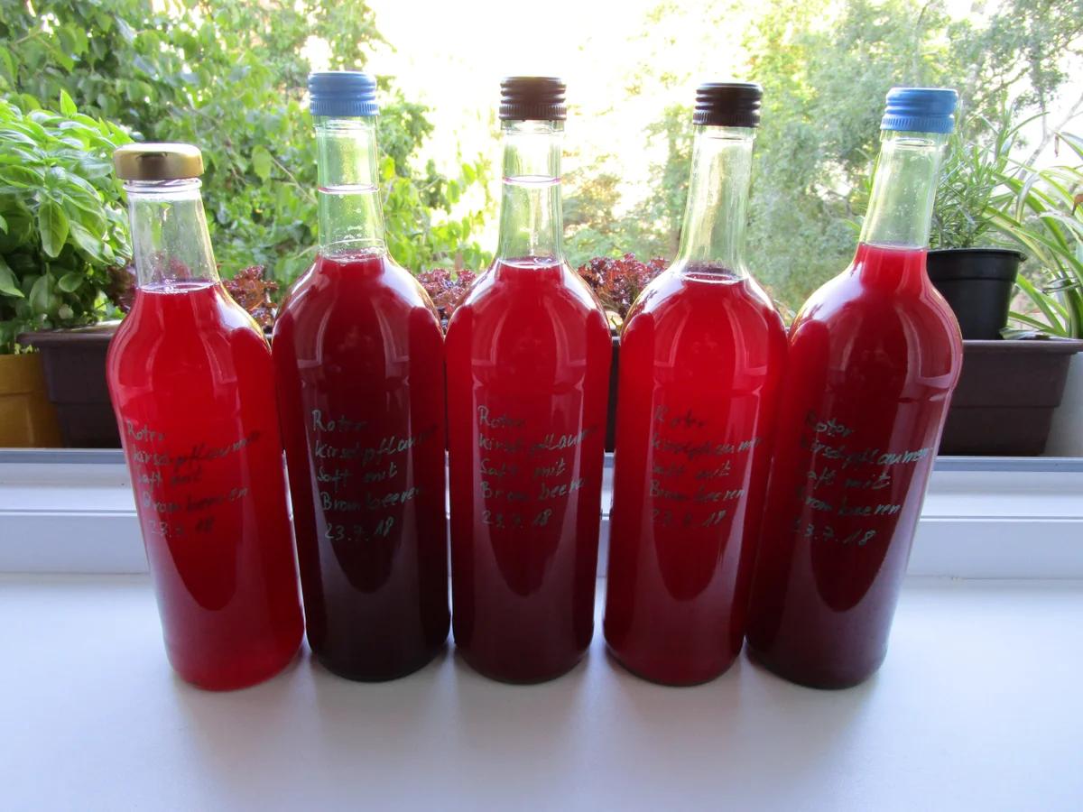 Kirschpflaumensaft mit Brombeeren - Rezept - Bild Nr. 6164