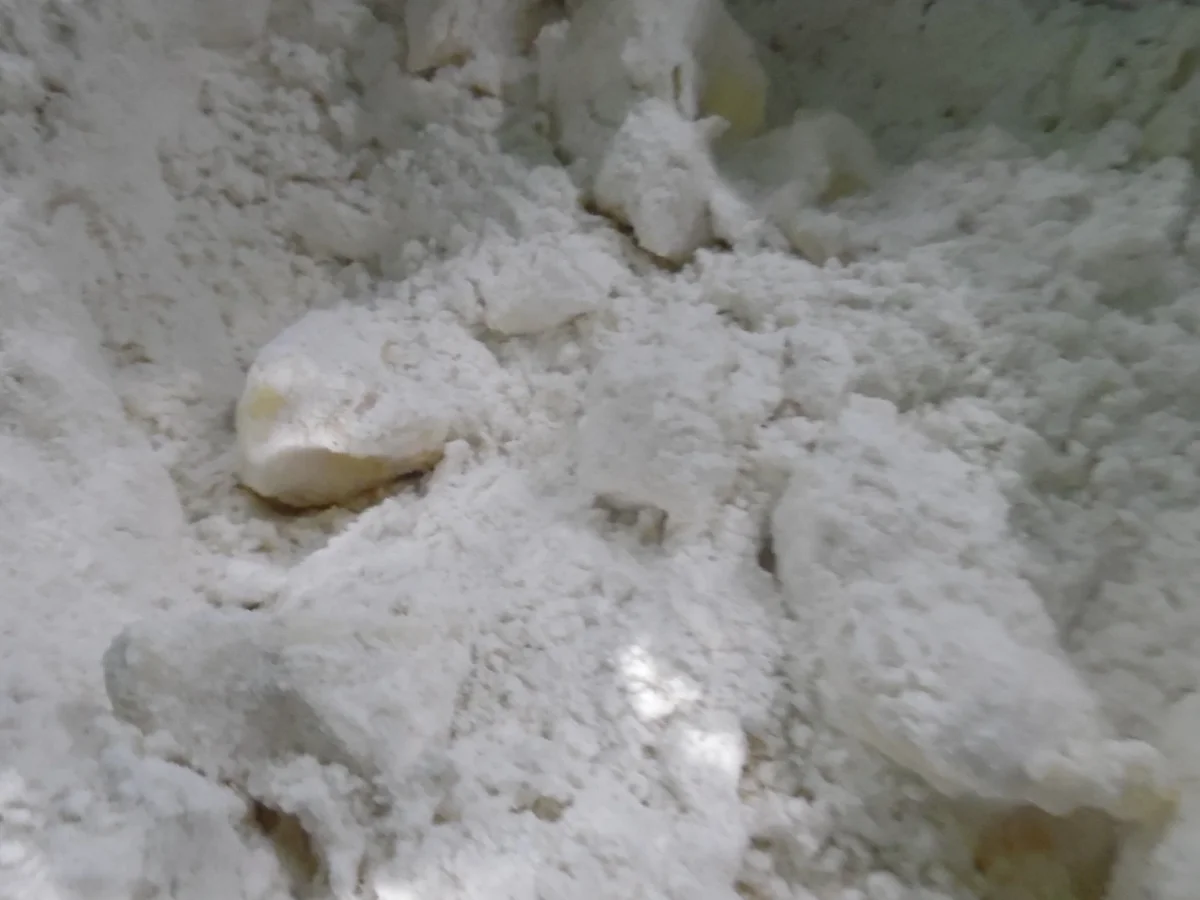 Tarte "Caprese" - Rezept - Bild Nr. 6182