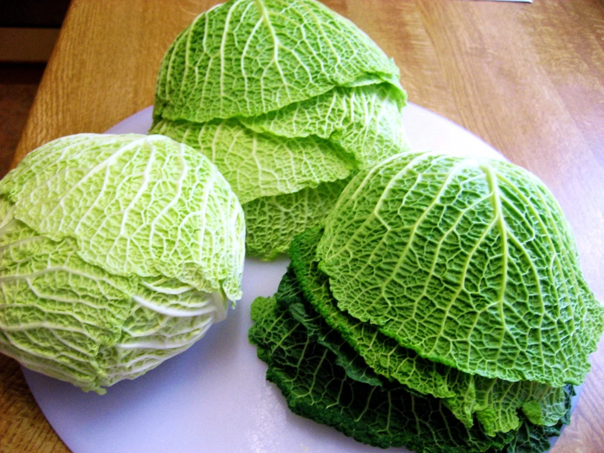 Wirsing-Chips zum Knabbern - Rezept - Bild Nr. 6195