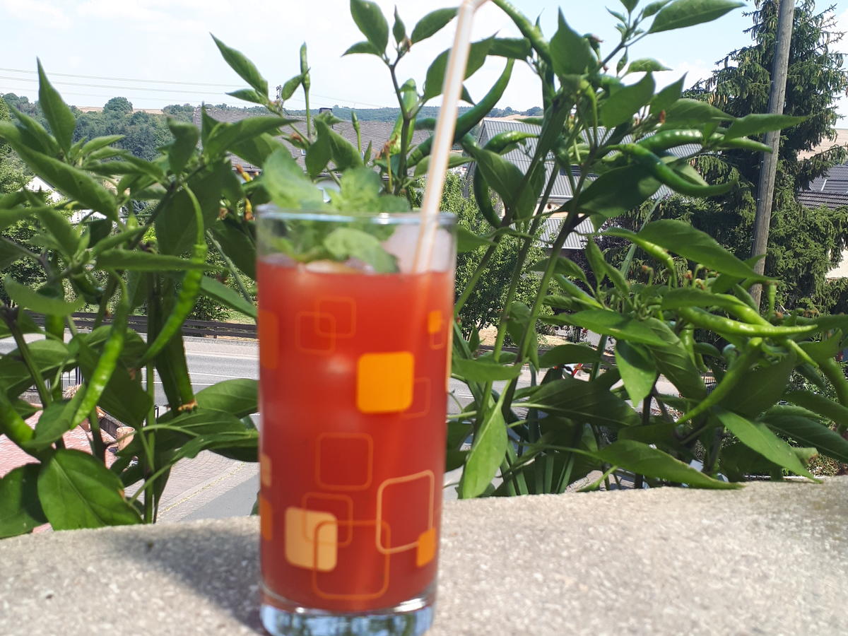 Erfrischende Wassermelonen Limonade mit Minze - einfach - von Coly-Bree