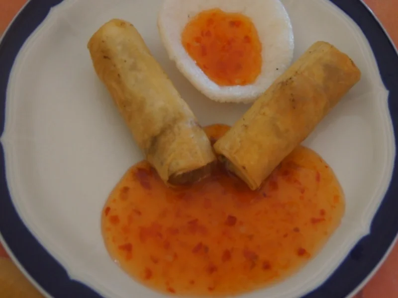 Rezept: Frühlingsrollen mit Rindermett, Weißkohl, Sprossen und Paprika Bild Nr. 6197 Frühlingsrollen mit Rindermett, Weißkohl, Sprossen und Paprika - Rezept - Bild Nr. 6197