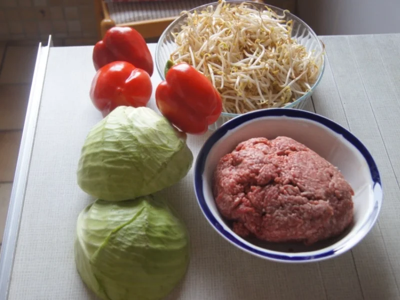 Rezept: Frühlingsrollen mit Rindermett, Weißkohl, Sprossen und Paprika Bild Nr. 6198 Frühlingsrollen mit Rindermett, Weißkohl, Sprossen und Paprika - Rezept - Bild Nr. 6198