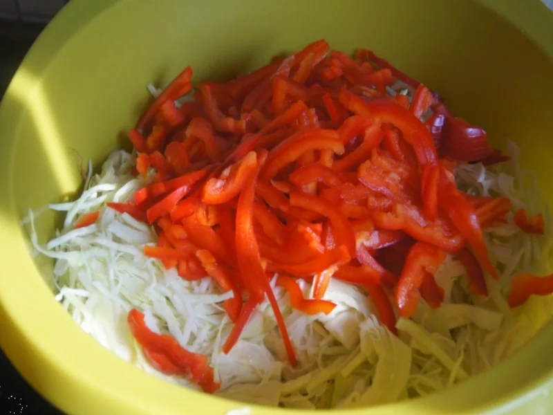 Rezept: Frühlingsrollen mit Rindermett, Weißkohl, Sprossen und Paprika Bild Nr. 6200 Frühlingsrollen mit Rindermett, Weißkohl, Sprossen und Paprika - Rezept - Bild Nr. 6200