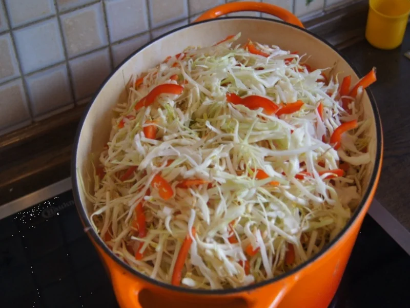 Rezept: Frühlingsrollen mit Rindermett, Weißkohl, Sprossen und Paprika Bild Nr. 6202 Frühlingsrollen mit Rindermett, Weißkohl, Sprossen und Paprika - Rezept - Bild Nr. 6202