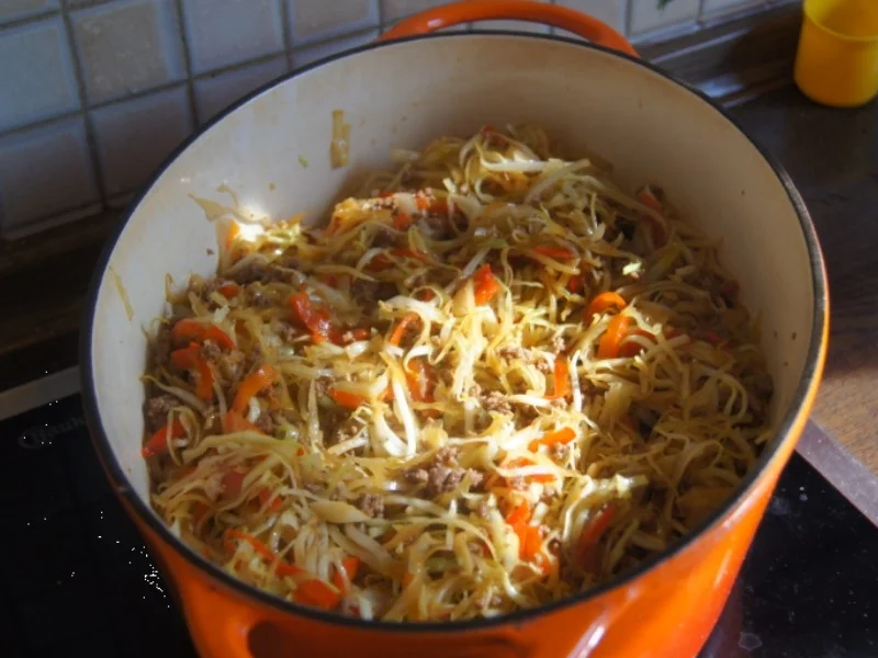 Rezept: Frühlingsrollen mit Rindermett, Weißkohl, Sprossen und Paprika Bild Nr. 6203 Frühlingsrollen mit Rindermett, Weißkohl, Sprossen und Paprika - Rezept - Bild Nr. 6203