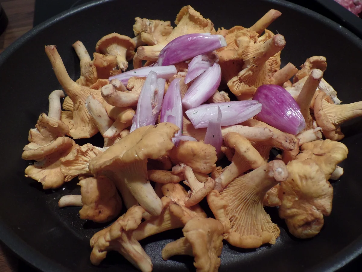 Gefüllte Spitzpaprika - Rezept - Bild Nr. 6212