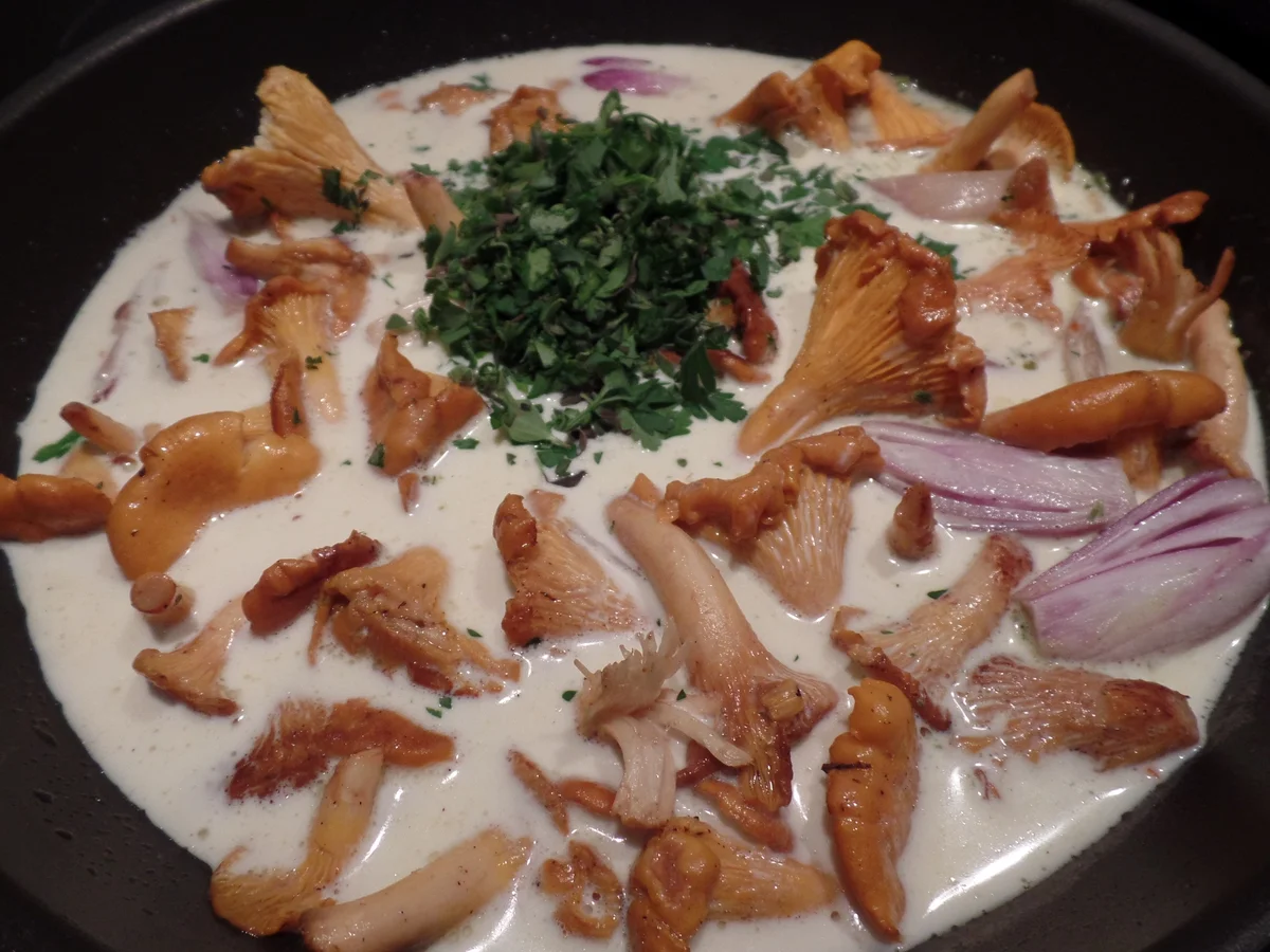 Gefüllte Spitzpaprika - Rezept - Bild Nr. 6214