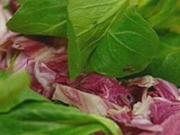 Feldsalat mit Radiccio - Rezept