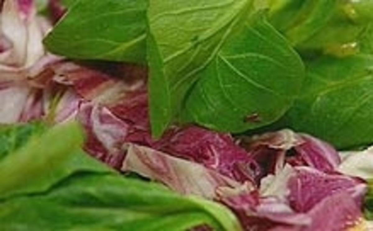 Feldsalat mit Radiccio - Rezept Von Einsendungen Schmeckt nicht gibt's
nicht