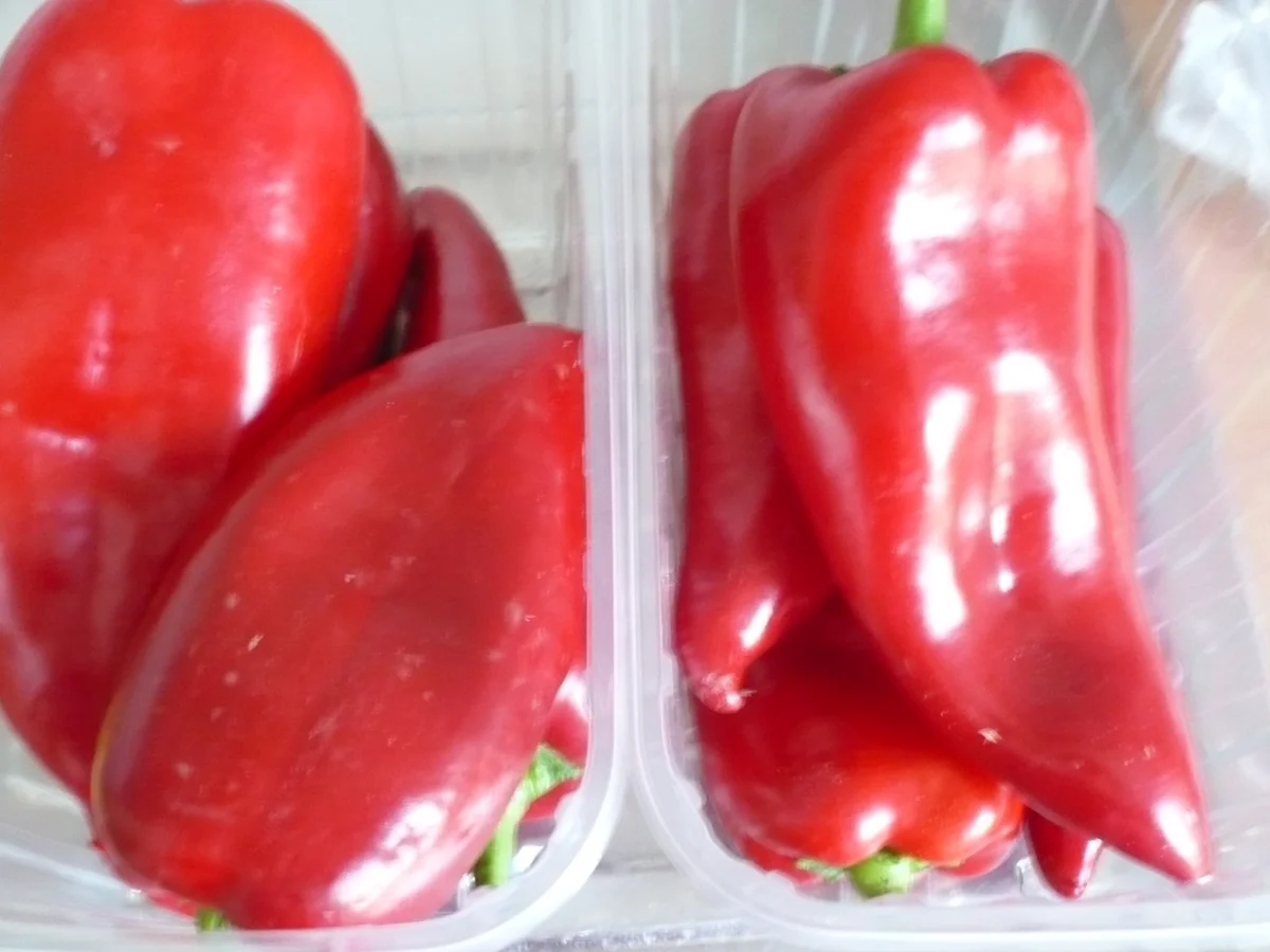 Scharfe Paprika - Vanille - Konfitüre - Rezept - Bild Nr. 6226