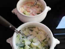 Kalte Okroshka - russische Suppe für den Sommer - Rezept - Bild Nr. 6225