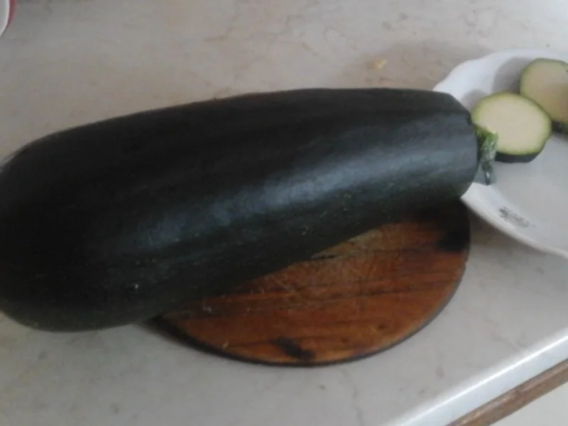 Gebratene Zucchini - Rezept - Bild Nr. 6231