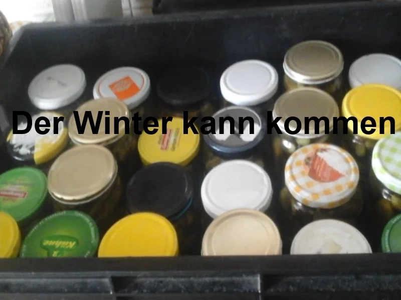 Eingelegte kleine Gewürzgurken nach Ivanka - Rezept - Bild Nr. 6233