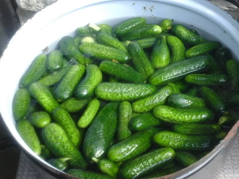 Eingelegte kleine Gewürzgurken nach Ivanka - Rezept - Bild Nr. 6238