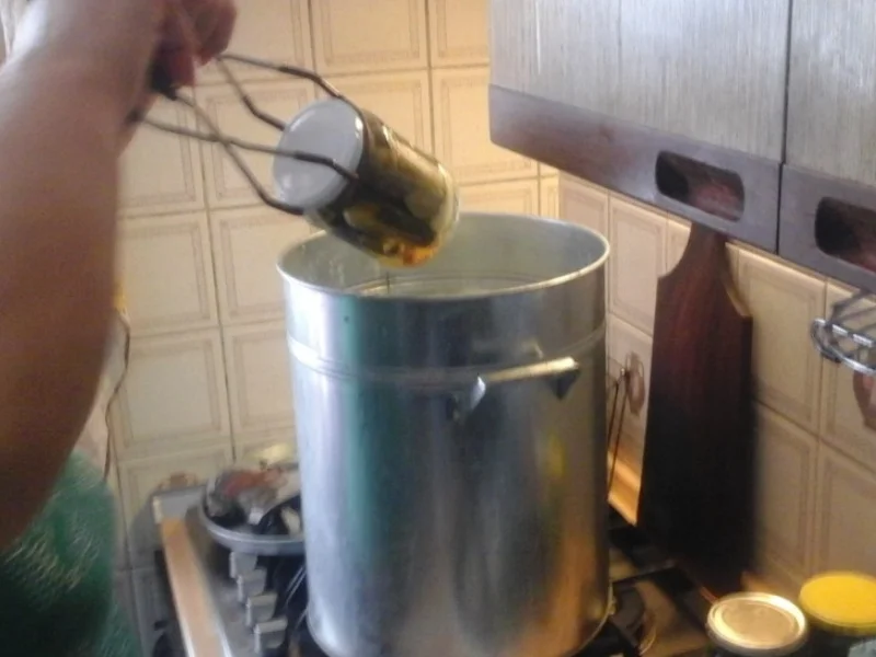 Eingelegte kleine Gewürzgurken nach Ivanka - Rezept - Bild Nr. 6243