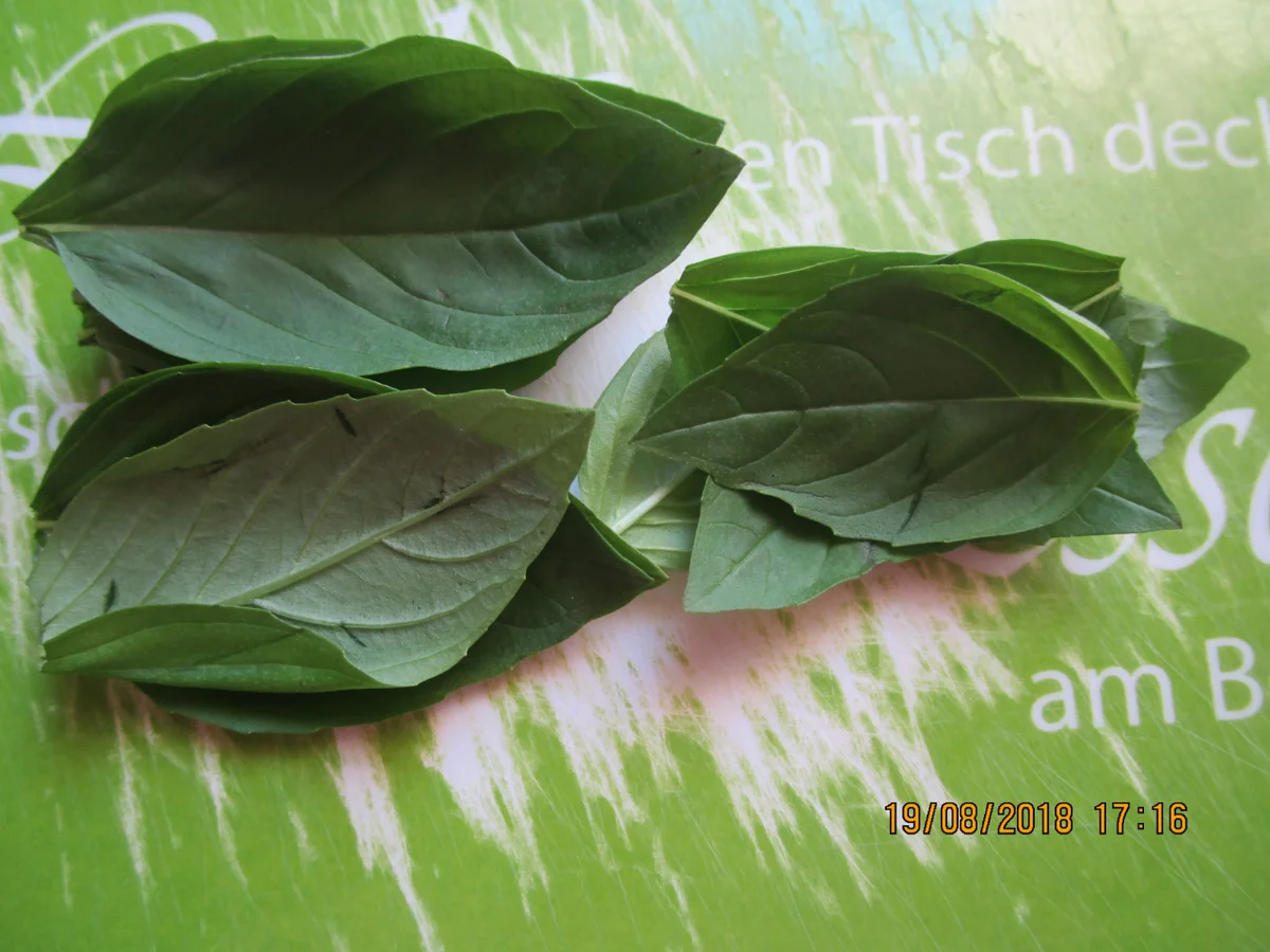 auflauf: tortellini, hack, tomaten, basilikum - Rezept - Bild Nr. 6251