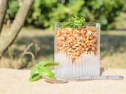 Emmer Beilagensalat - Rezept - Bild Nr. 6237