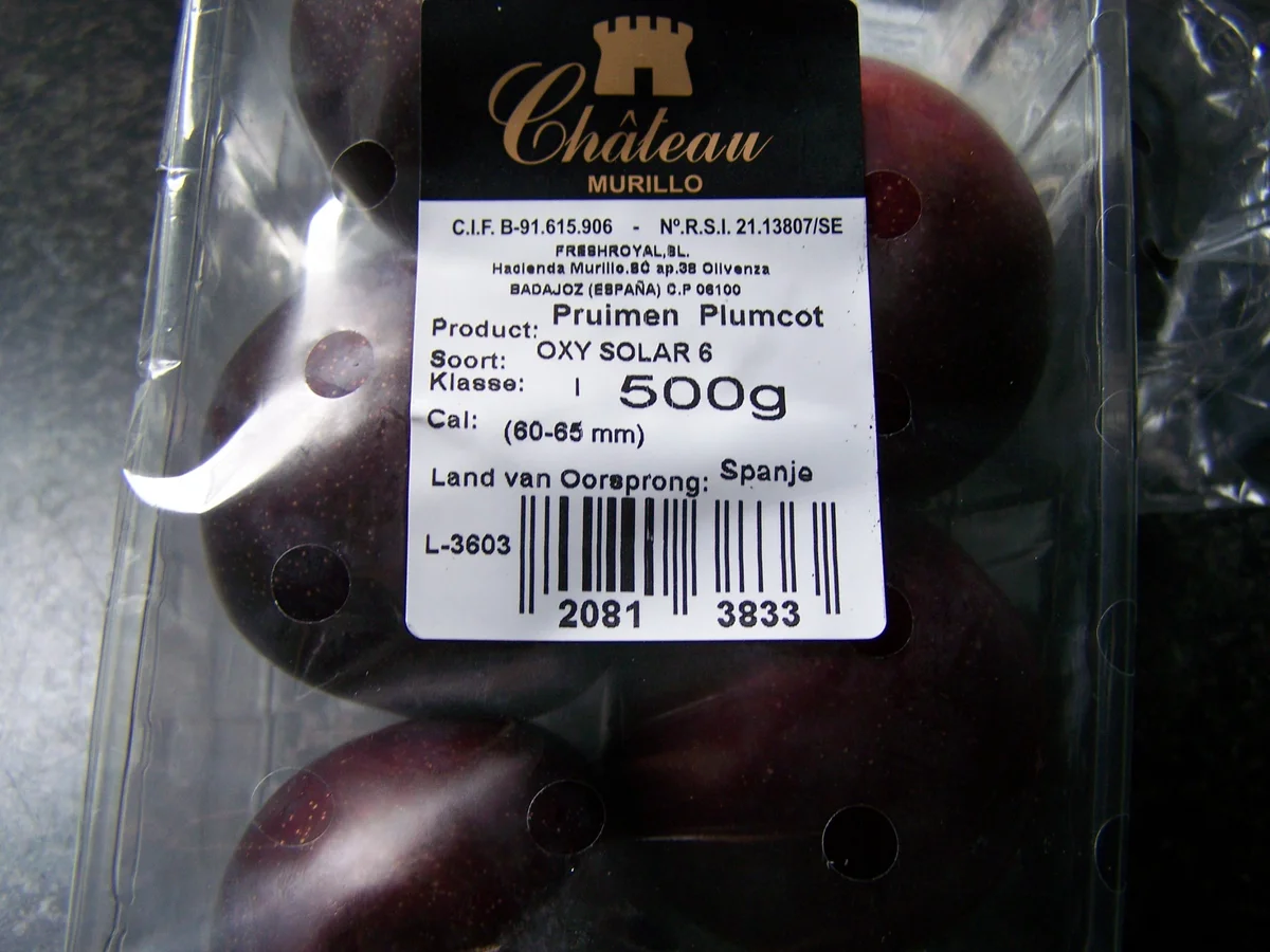 Rezept: Plumcot-Abrikosen- Streusselkuchen Bild Nr. 6267 Plumcot-Abrikosen- Streusselkuchen - Rezept - Bild Nr. 6267