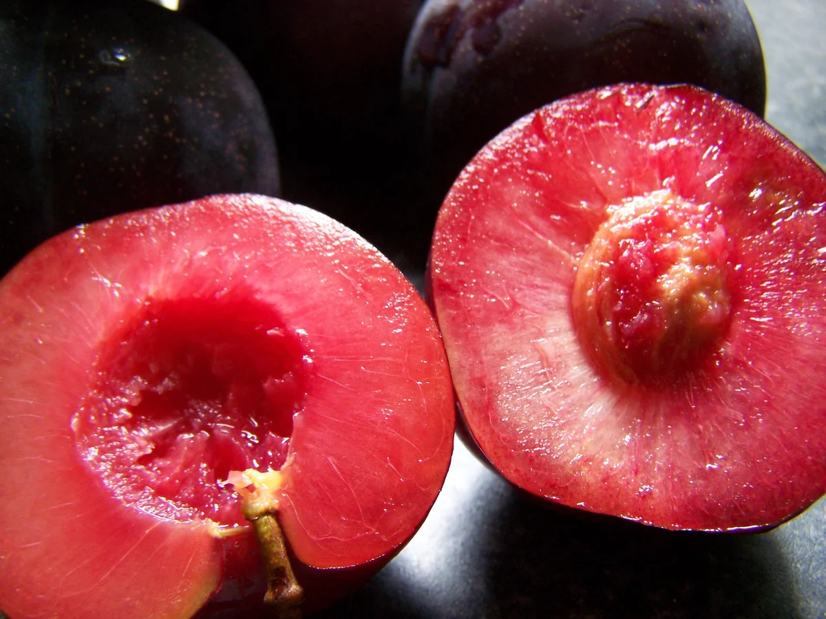 Rezept: Plumcot-Abrikosen- Streusselkuchen Bild Nr. 6270 Plumcot-Abrikosen- Streusselkuchen - Rezept - Bild Nr. 6270