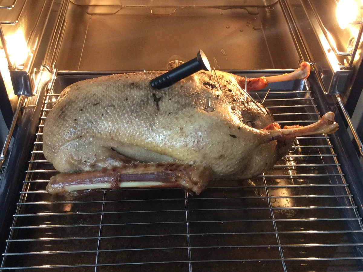 GANS MIT ITALIENISCHER FÜLLUNG - Rezept - Bild Nr. 2