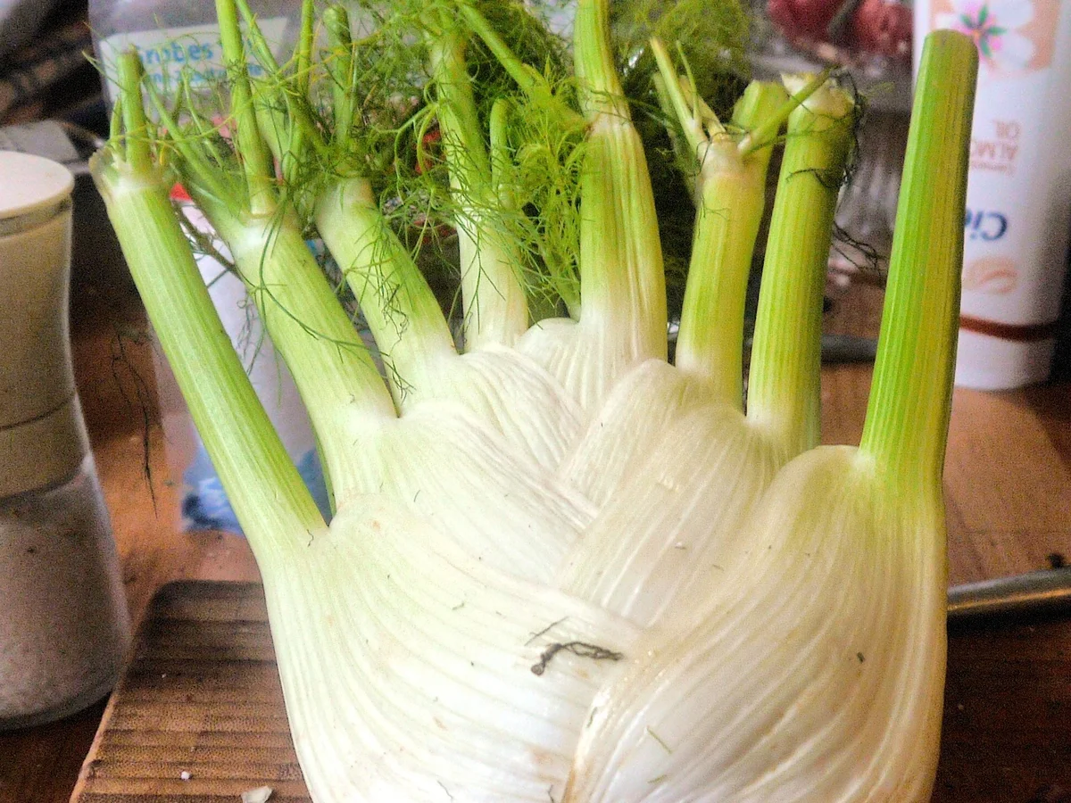 Rezept: Fenchel-Kartoffel-Auflauf Bild Nr. 6242 Fenchel-Kartoffel-Auflauf - Rezept - Bild Nr. 6242