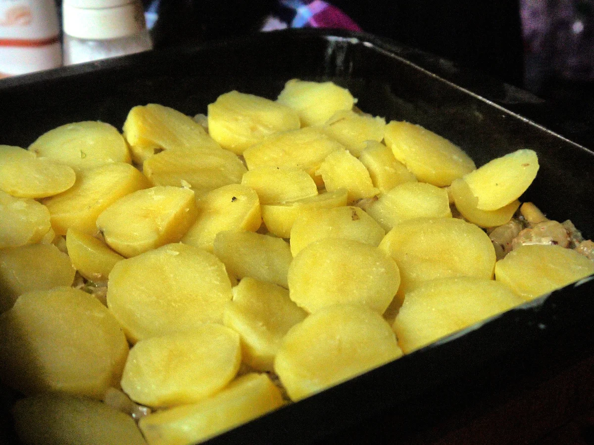 Rezept: Fenchel-Kartoffel-Auflauf Bild Nr. 6248 Fenchel-Kartoffel-Auflauf - Rezept - Bild Nr. 6248