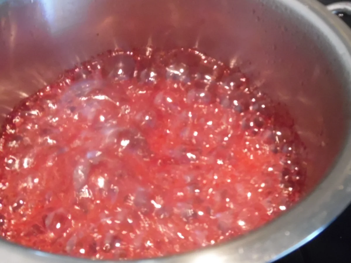 Himbeer-Küsse - Rezept - Bild Nr. 6250