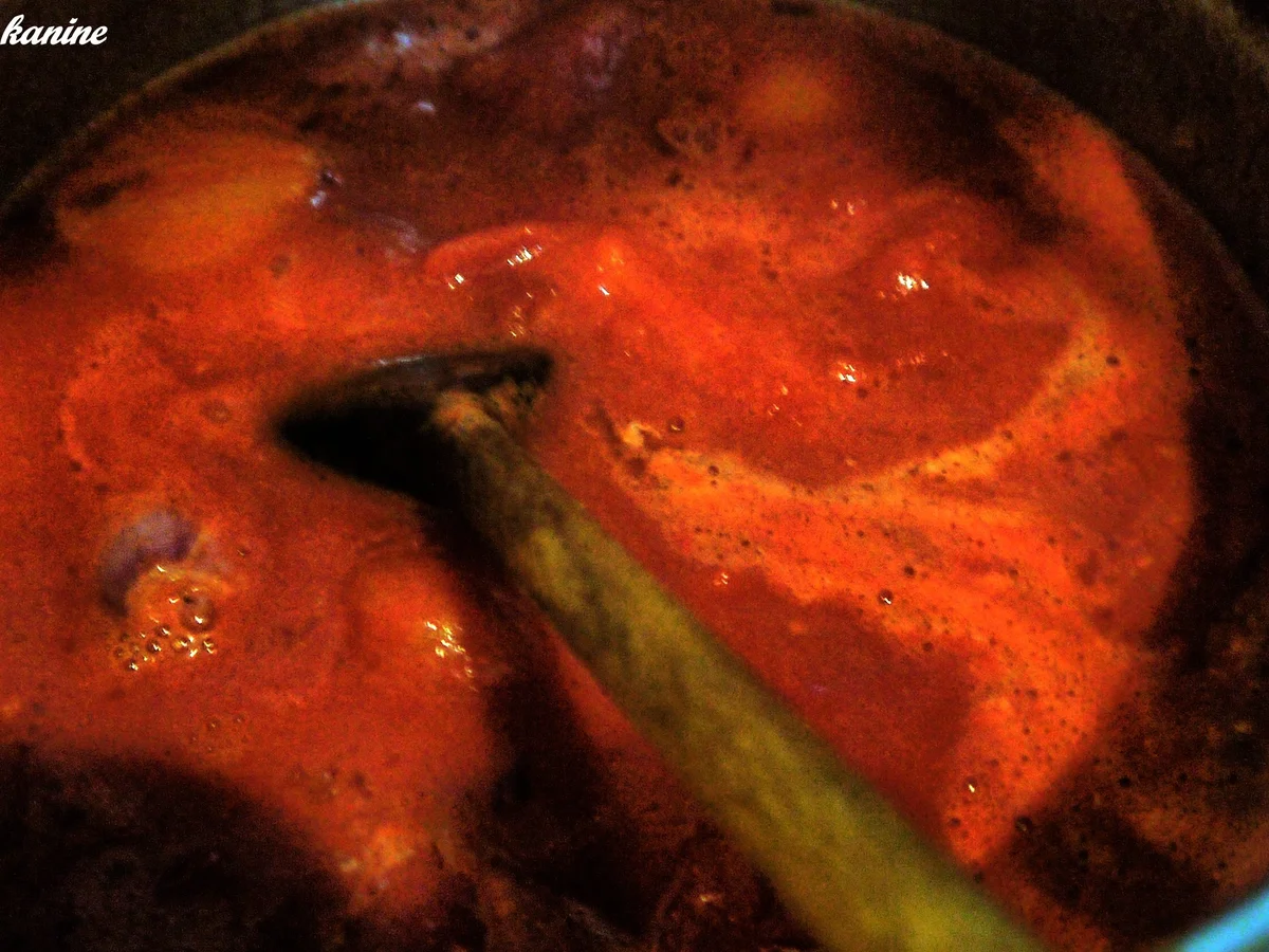 Rezept: Marcellas Tomatensauce Bild Nr. 6 Marcellas Tomatensauce - Rezept - Bild Nr. 6