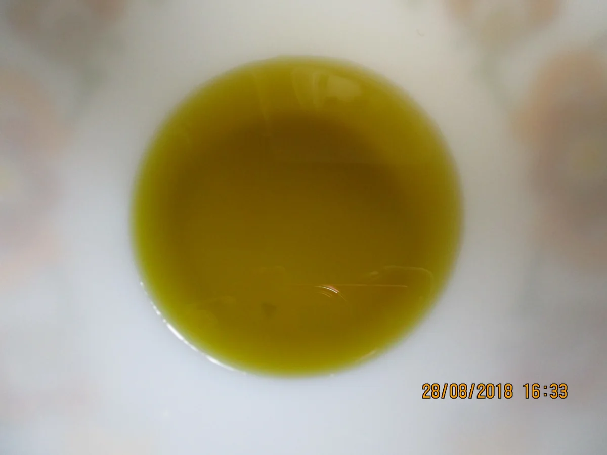 auflauf: tomaten - mozzarella - Rezept - Bild Nr. 6247