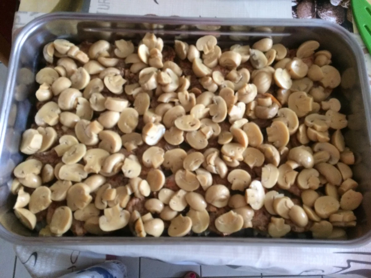 Schweinefilet mit Champingnon in Käse-Soße - Rezept - Bild Nr. 6254