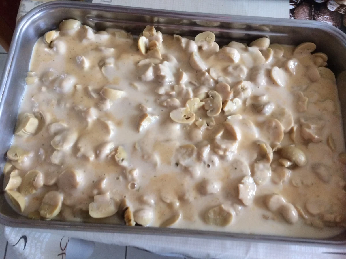 Schweinefilet mit Champingnon in Käse-Soße - Rezept - Bild Nr. 6255