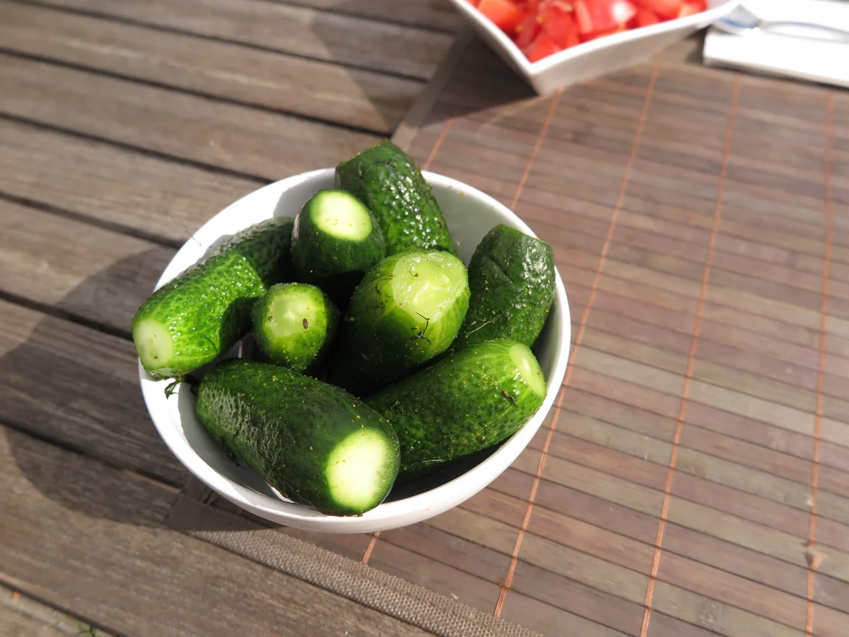 Gewürzgurken selbst gemacht - Rezept - Bild Nr. 6252