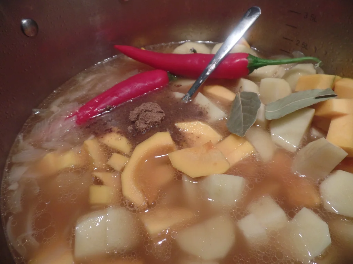 Orientalischer Kürbiseintopf - Rezept - Bild Nr. 6273