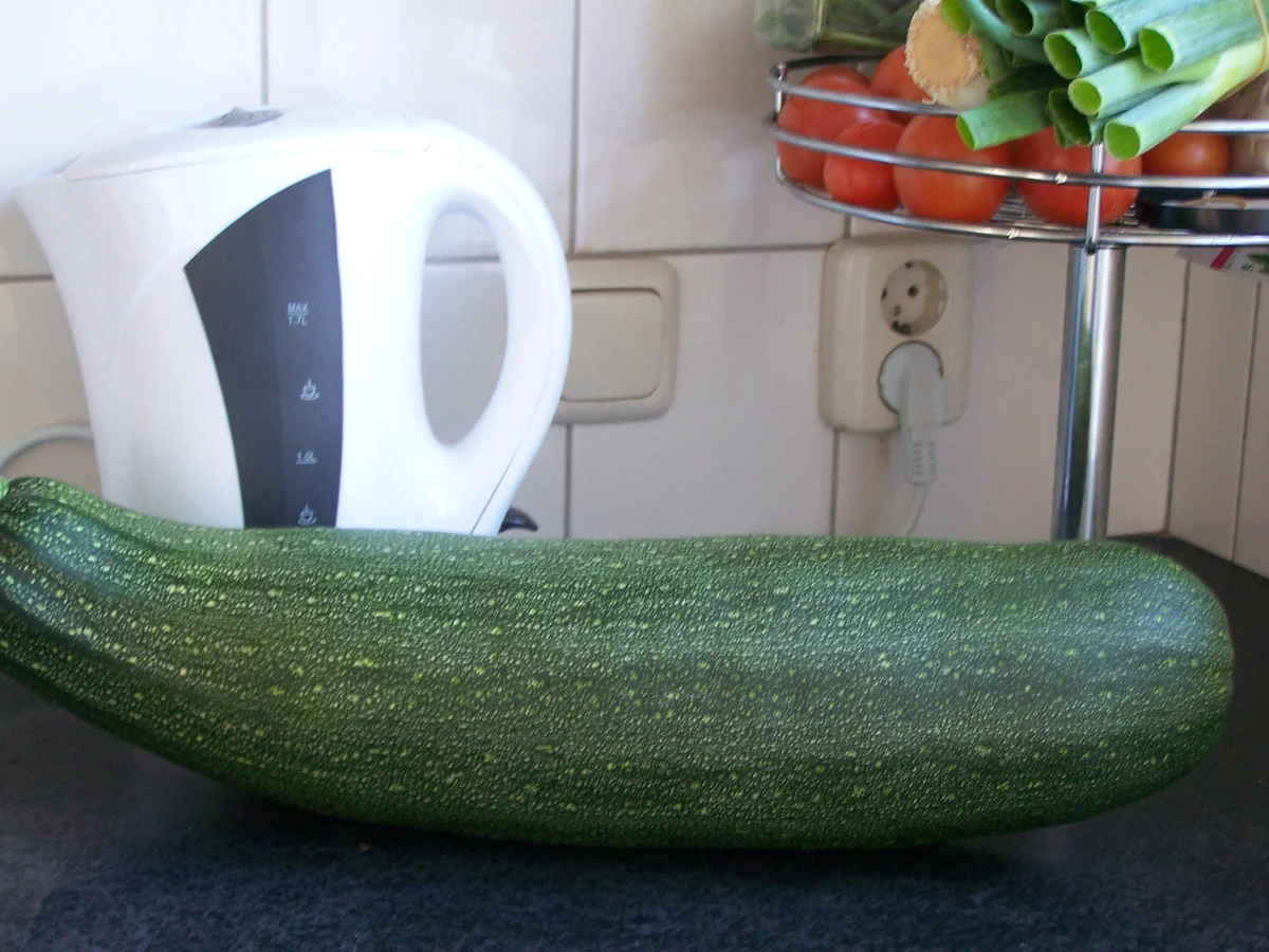 Ein Traum von einer Zucchini gefüllt - No. 2 - Rezept - Bild Nr. 6270
