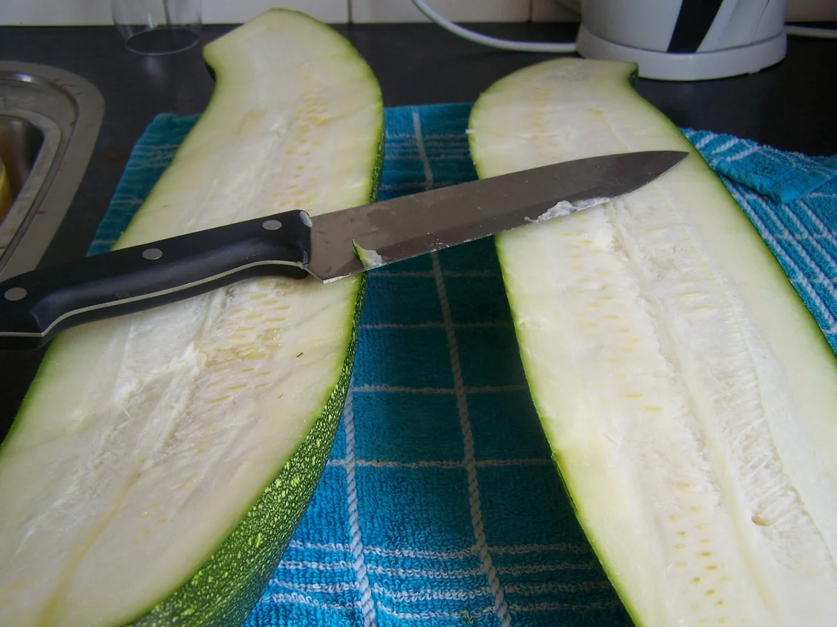 Ein Traum von einer Zucchini gefüllt - No. 2 - Rezept - Bild Nr. 6275